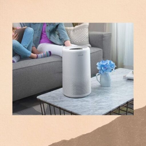 resumediferencia purificadores humidificadores